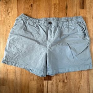 Chubbies Men's Light Gray Shorts